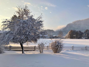 Open Garden Mountain Lodge Oberaudorf